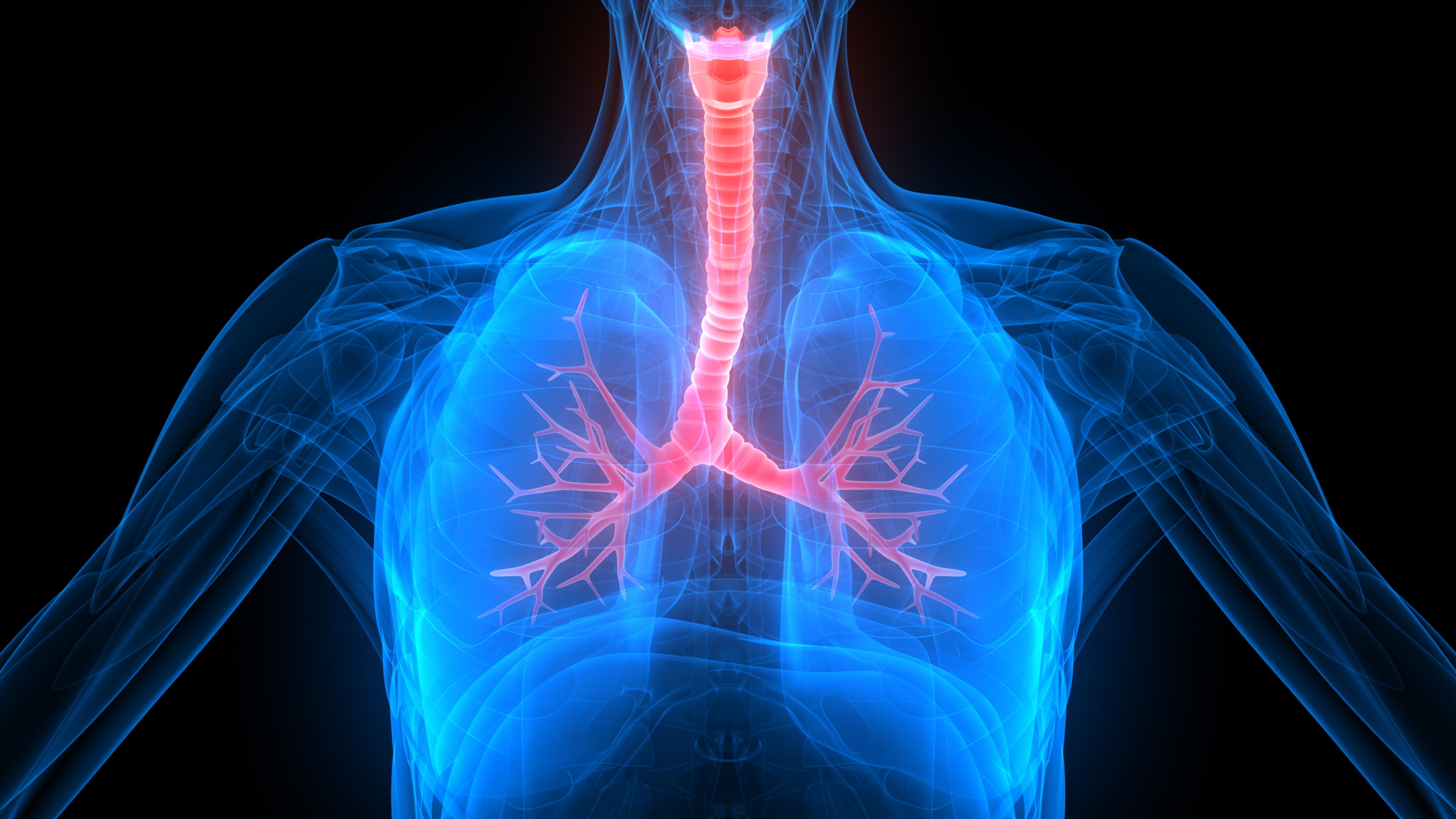 Respiratory Conference